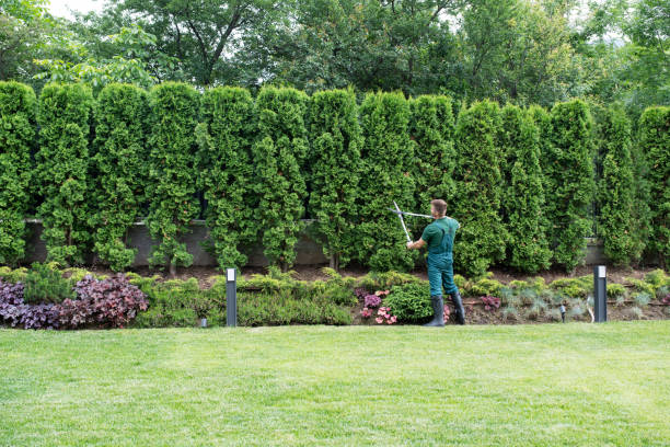  Thiells, NY Tree Removal and Landscaping Services Pros